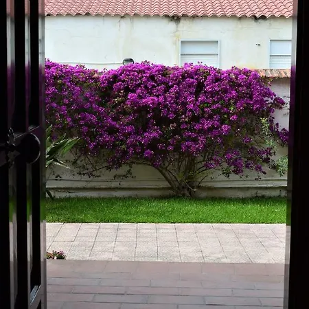 Apartment Casa Bedda