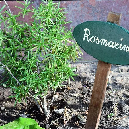 דירה Casa Bedda אגנונה באגני