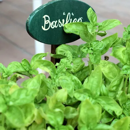 Casa Bedda * אגנונה באגני