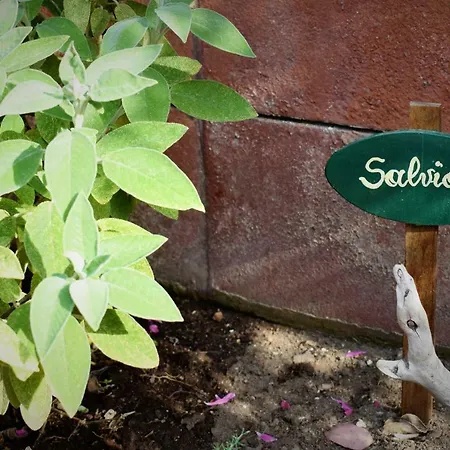 Apartamento Casa Bedda